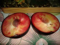 20150831_111131.jpg