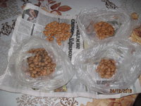 IMG_1557.JPG