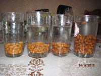 IMG_1558.JPG