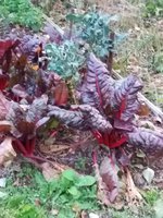 20161015_183933.jpg