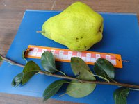DSC05503-01.jpg
