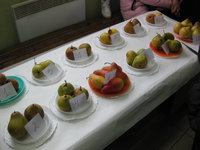 IMG_5182.JPG