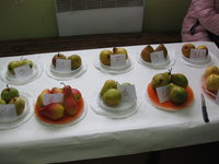 IMG_5183.JPG
