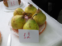 IMG_5184.JPG