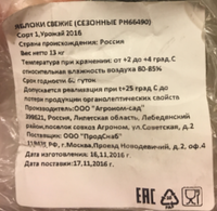 липетск.png