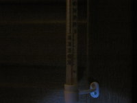 IMG_5512.JPG