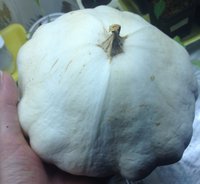 Зонтик