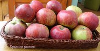 Красное ранее