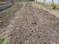 2013-05-14 13.06.27.jpg