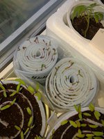 20160510_083635.jpg