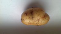 P_20170308_085117.jpg