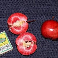 image.jpeg