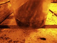 IMG_20170327_181751.jpg