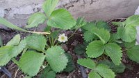 20170420_180233.jpg