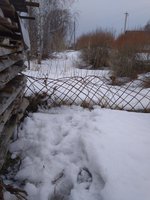 IMG_20170306_112119.jpg