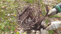 20151015_111257.jpg