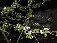 DSCN5609.JPG