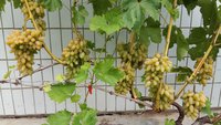 20160903_115731.jpg
