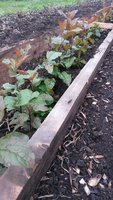 20170524_103043.jpg