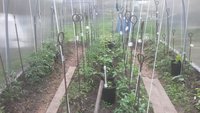 20170525_093036.jpg