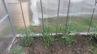 20170525_093045.jpg