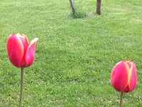 IMG_6274.JPG