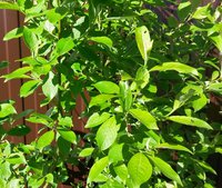 20170602_165850.jpg
