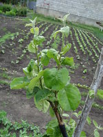 DSC07960.JPG