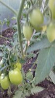 20170624_202338.jpg