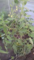 20170624_202247.jpg
