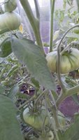 20170624_202306.jpg