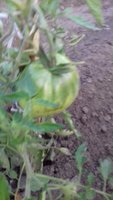 20170624_202004.jpg