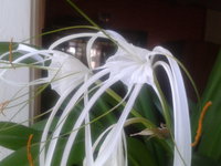 2012-07-12 11.27.59.jpg