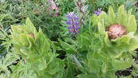 20170702_120756.jpg