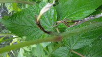 20170708_091125.jpg