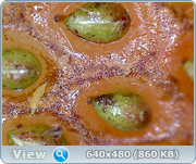 IMG_4458.PNG