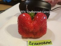 Великобритания_20170714_142829.jpg