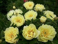 IMG_20130612_134702.jpg
