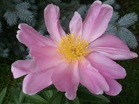 IMG_20130612_173901.jpg