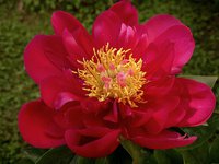 IMG_20130612_173946.jpg