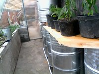 IMG00017.jpg