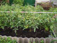 P1010010.JPG