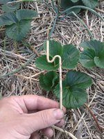 20170724_190457~3.jpg