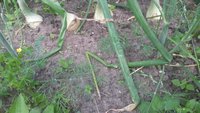 20170724_112358.jpg