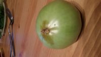 20170810_203246.jpg