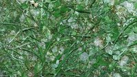 20170814_204429.jpg