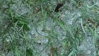 20170814_204931.jpg