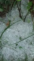 20170814_205045.jpg