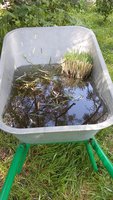 20170815_104547.jpg
