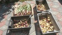 20170813_104917.jpg